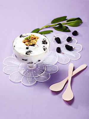 포토 JPG 스튜디오촬영 식물 그릇 음식 잎 나뭇잎 아이스크림 디저트 여름음식 사람없음 과자 숟가락 용기 시리얼 빙수 파르페 제철음식 국내포토 식기 수저 실내 제철 파일형식 여름_계절