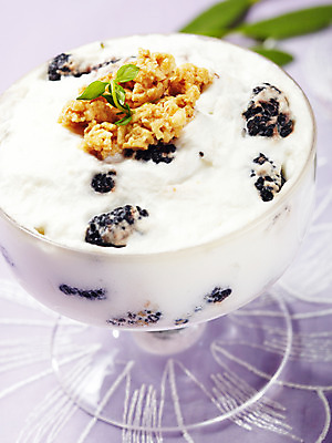 포토 JPG 스튜디오촬영 그릇 음식 아이스크림 디저트 여름음식 사람없음 과자 용기 시리얼 빙수 파르페 제철음식 국내포토 식기 실내 제철 파일형식 여름_계절