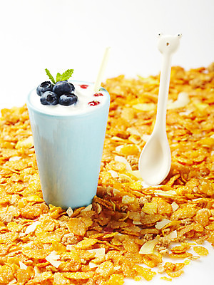 포토 JPG 스튜디오촬영 그릇 열매 음식 과일 디저트 여름음식 사람없음 장식 과자 숟가락 용기 시리얼 블루베리 빙수 파르페 요거트 제철음식 국내포토 식물 식기 유제품 수저 실내 제철 파일형식 여름_계절