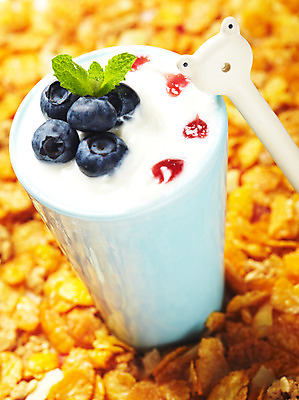 포토 JPG 스튜디오촬영 그릇 열매 음식 과일 디저트 여름음식 사람없음 장식 과자 숟가락 용기 시리얼 블루베리 빙수 파르페 요거트 제철음식 국내포토 식물 식기 유제품 수저 실내 제철 파일형식 여름_계절