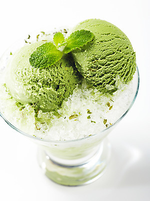 포토 JPG 스튜디오촬영 그릇 음식 잎 나뭇잎 아이스크림 디저트 여름음식 사람없음 용기 녹차 빙수 파르페 녹차아이스크림 제철음식 국내포토 식물 식기 실내 차_음료 제철 파일형식 여름_계절