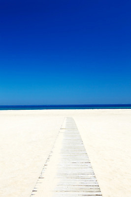 포토 JPG 주간 나무 길 모래 바다 하늘 풍경 해변 사람없음 야외 여름 모래사장 나무길 국내포토 자연요소 식물 계절 파일형식