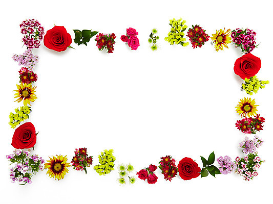 포토 JPG 스튜디오촬영 식물 꽃잎 꽃 여러송이 백그라운드 컨셉 패턴 꽃백그라운드 프레임 실내 사람없음 장미 여러개 소국 과꽃 스타티스 국내포토 다수 무늬 내부 파일형식