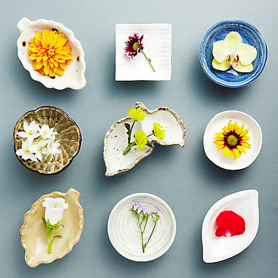 포토 JPG 스튜디오촬영 식물 그릇 접시 꽃잎 꽃 여러송이 백그라운드 컨셉 꽃백그라운드 해바라기 실내 사람없음 컬러풀 여러개 다양 달리아 소국 호접란 스타티스 국내포토 식기 컬러 다수 내부 파일형식