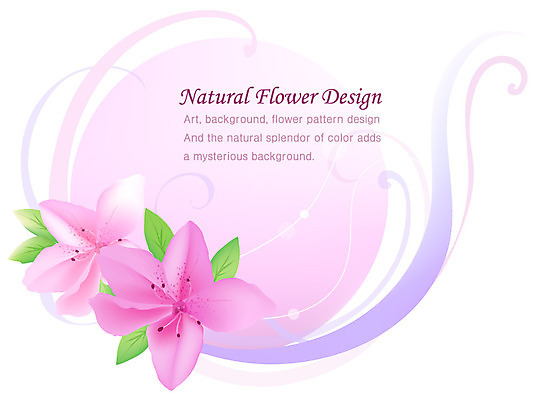 EPS 식물 디자인 꽃잎 꽃 분홍색 백그라운드 잎 꽃백그라운드 일러스트 자연 나뭇잎 사람없음 플라워배경 국내일러스트 컬러 생태계 파일형식 벡터
