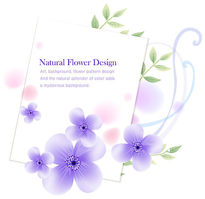 EPS 식물 디자인 꽃잎 꽃 줄기 백그라운드 잎 꽃백그라운드 일러스트 자연 나뭇잎 사람없음 보라색 플라워배경 국내일러스트 컬러 생태계 파일형식 벡터