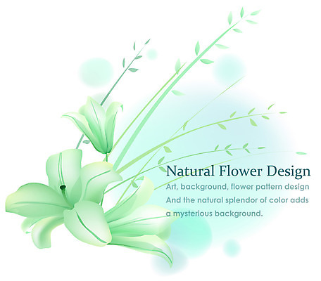 EPS 식물 디자인 꽃잎 꽃 줄기 백그라운드 잎 꽃백그라운드 일러스트 자연 나뭇잎 사람없음 초록색 플라워배경 국내일러스트 컬러 생태계 파일형식 벡터