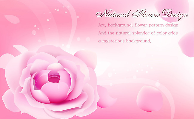 EPS 식물 문양 디자인 꽃잎 꽃 분홍색 백그라운드 무늬 꽃백그라운드 일러스트 자연 사람없음 장미 플라워배경 국내일러스트 컬러 생태계 파일형식 벡터