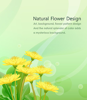 EPS 식물 문양 디자인 꽃잎 꽃 줄기 백그라운드 잎 무늬 꽃백그라운드 일러스트 자연 나뭇잎 사람없음 노란색 민들레 플라워배경 국내일러스트 컬러 생태계 파일형식 벡터