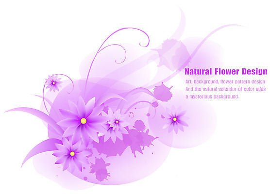 EPS 식물 디자인 꽃잎 꽃 줄기 백그라운드 잎 꽃백그라운드 일러스트 자연 나뭇잎 사람없음 보라색 플라워배경 국내일러스트 컬러 생태계 파일형식 벡터