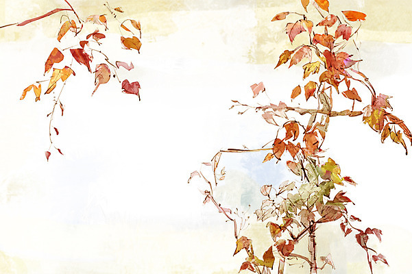 주간 PSD 식물 사계절 계절 백그라운드 단풍 낙엽 일러스트 자연 풍경 사람없음 야외 담장 가을풍경 가을 담쟁이덩굴 덩굴 가을배경 국내일러스트 자연요소 잎 생태계 파일형식 가을_계절