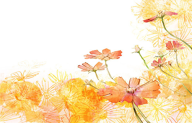 주간 PSD 식물 사계절 계절 꽃잎 꽃 백그라운드 꽃밭 일러스트 자연 풍경 사람없음 야외 가을풍경 가을 코스모스 가을배경 국내일러스트 자연요소 생태계 파일형식 가을_계절