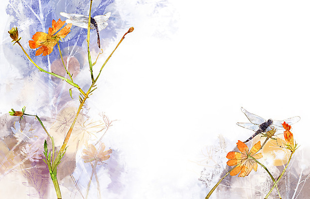 주간 PSD 식물 동물 사계절 계절 꽃 줄기 곤충 백그라운드 두마리 일러스트 자연 풍경 사람없음 야외 가을풍경 가을 잠자리 코스모스 가을배경 국내일러스트 자연요소 2 생태계 파일형식 가을_계절