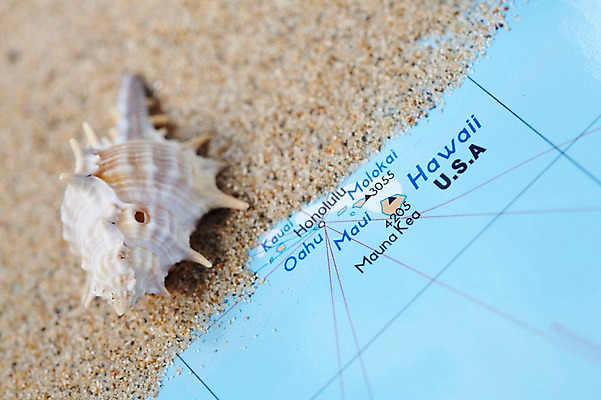포토 JPG 스튜디오촬영 해외 나라 모래 해외여행 여행 세계지도 지도 실내 사람없음 관광지 세계 흙 세계여행 조개껍데기 소라 오브젝트 하와이 국내포토 조개 어패류 내부 미국 파일형식