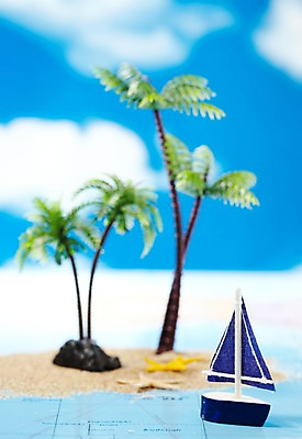 포토 JPG 스튜디오촬영 해외 나라 섬 해외여행 여행 세계지도 지도 불가사리 실내 사람없음 관광지 세계 야자수 모형 미니어처 세계여행 오브젝트 선박 국내포토 나무 수상교통 극피동물 내부 파일형식