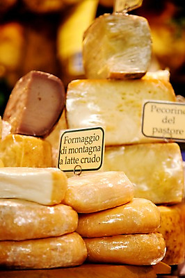포토 JPG 해외 유럽 음식 치즈 유제품 실내 사람없음 이탈리아 이름표 가격표 포마지오 피렌체 국내포토 나라 내부 파일형식