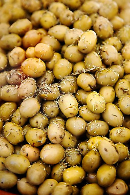 포토 JPG 식물 해외 열매 유럽 음식 백그라운드 식재료 사람없음 농작물 노란색 프랑스 올리브 식물백그라운드 국내포토 나라 컬러 농업 파일형식