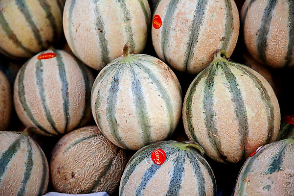 포토 JPG 식물 해외 열매 유럽 음식 백그라운드 과일 식재료 사람없음 농작물 프랑스 멜론 열대과일 식물백그라운드 국내포토 나라 농업 파일형식