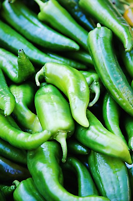 포토 JPG 식물 해외 유럽 음식 백그라운드 채소 식재료 고추 사람없음 초록색 농작물 프랑스 식물백그라운드 오이고추 국내포토 나라 컬러 농업 파일형식