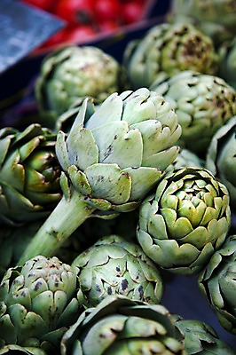 포토 JPG 식물 해외 유럽 음식 백그라운드 채소 식재료 사람없음 초록색 농작물 프랑스 식물백그라운드 엉겅퀴 아티초크 국내포토 꽃 나라 컬러 농업 파일형식