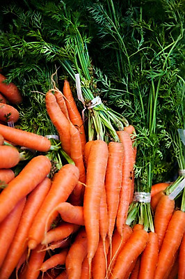 포토 JPG 식물 해외 유럽 음식 백그라운드 채소 식재료 사람없음 농작물 주황색 당근 프랑스 식물백그라운드 국내포토 나라 컬러 농업 뿌리채소 파일형식