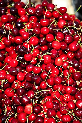 포토 JPG 식물 해외 열매 유럽 음식 백그라운드 과일 식재료 사람없음 빨간색 농작물 프랑스 체리 식물백그라운드 국내포토 나라 컬러 농업 파일형식