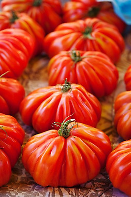 포토 JPG 식물 해외 열매 유럽 음식 백그라운드 토마토 채소 식재료 사람없음 빨간색 농작물 프랑스 식물백그라운드 국내포토 나라 컬러 농업 파일형식