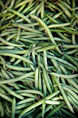 포토 JPG 식물 해외 열매 유럽 음식 백그라운드 채소 식재료 콩 사람없음 초록색 농작물 프랑스 식물백그라운드 국내포토 나라 컬러 농업 곡류 파일형식