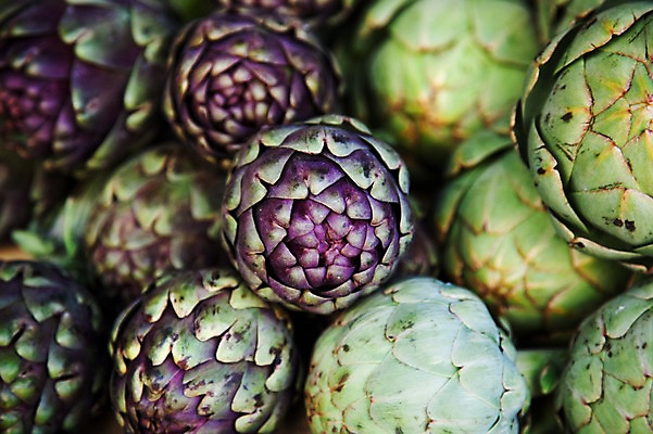 포토 JPG 식물 해외 유럽 음식 백그라운드 채소 식재료 사람없음 초록색 농작물 보라색 프랑스 식물백그라운드 엉겅퀴 아티초크 국내포토 꽃 나라 컬러 농업 파일형식