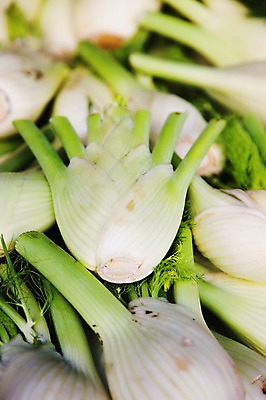 포토 JPG 식물 해외 유럽 음식 백그라운드 채소 식재료 사람없음 농작물 프랑스 식물백그라운드 파 국내포토 나라 농업 파일형식