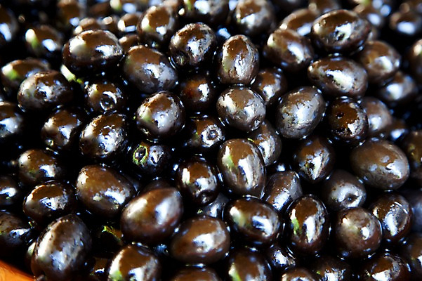 포토 JPG 식물 해외 열매 유럽 음식 백그라운드 식재료 사람없음 농작물 검은색 프랑스 올리브 식물백그라운드 국내포토 나라 컬러 농업 파일형식