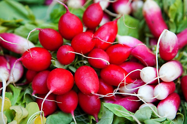 포토 JPG 식물 해외 유럽 음식 백그라운드 채소 식재료 사람없음 농작물 보라색 프랑스 자주색 식물백그라운드 적환무 국내포토 나라 컬러 농업 무 파일형식