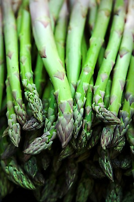 포토 JPG 식물 해외 음식 배경화면 백그라운드 채소 식재료 유럽풍경 사람없음 초록색 농작물 프랑스 아스파라거스 식물백그라운드 국내포토 유럽 컬러 농업 풍경 파일형식