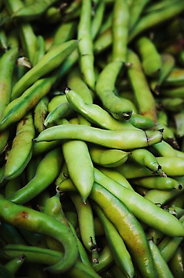 포토 JPG 해외 열매 유럽 음식 백그라운드 채소 식재료 콩 사람없음 초록색 농작물 프랑스 식물백그라운드 풋콩 국내포토 식물 나라 컬러 농업 곡류 파일형식