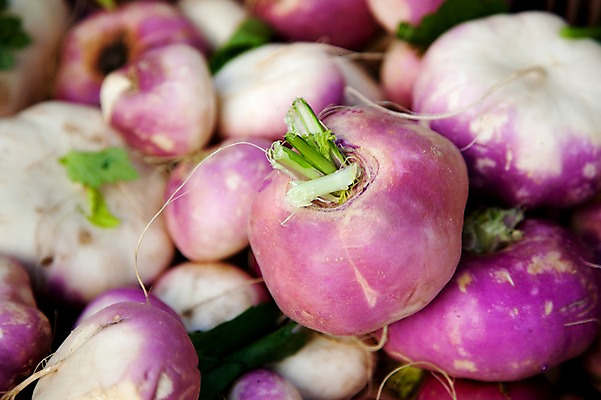 포토 JPG 식물 해외 유럽 음식 백그라운드 채소 식재료 사람없음 농작물 보라색 프랑스 무 식물백그라운드 국내포토 나라 컬러 농업 뿌리채소 파일형식