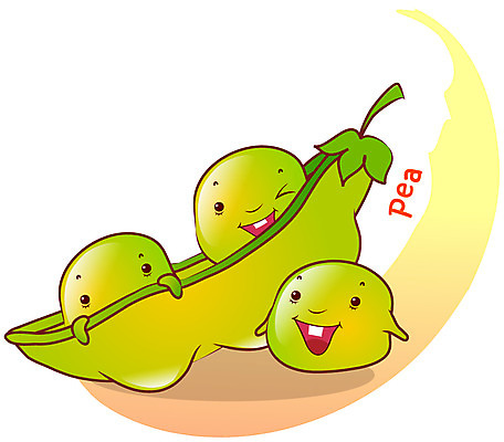 EPS 식물 캐릭터 알파벳 채소 일러스트 콩 사람없음 초록색 농작물 완두콩 식물캐릭터 채소캐릭터 콩캐릭터 일러캐릭터 영어 컬러 농업 곡류 파일형식 벡터