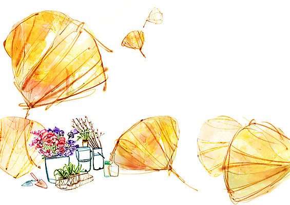 PSD 식물 꽃 화분 백그라운드 일러스트 자연 페인터 사람없음 공백 도구 모종삽 삽 오브젝트 국내일러스트 페인팅 생태계 파일형식