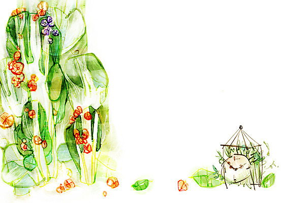 PSD 식물 꽃잎 꽃 시계 줄기 백그라운드 잎 일러스트 자연 페인터 나뭇잎 사람없음 공백 오브젝트 탁상시계 국내일러스트 페인팅 생태계 파일형식