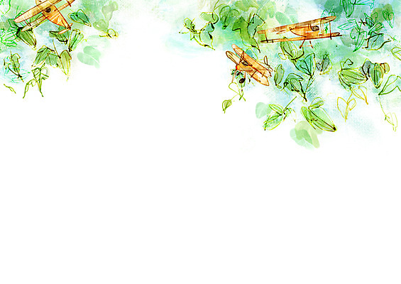 PSD 나무 식물 백그라운드 잎 일러스트 자연 페인터 나뭇잎 비행기 사람없음 장난감 공백 오브젝트 국내일러스트 항공교통 페인팅 대중교통 생태계 파일형식