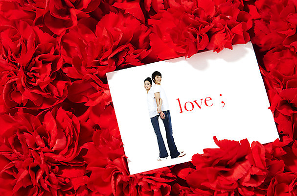 전신 PSD 식물 편집 편집이미지 커플 여자 남자 꽃잎 꽃 꽃백그라운드 사랑 서기 미소 웃음 사람 이벤트 성인 두명 빨간색 등맞대기 카네이션 성인만 이미지편집 감정 컬러 백그라운드 관계 모션 표정 파일형식