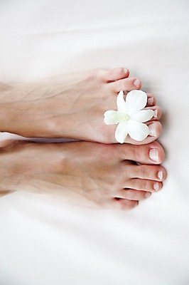 포토 JPG 해외기획촬영 여자 꽃잎 꽃 2010년태국 발 실내 사람 신체부위 뷰티 전신마사지 의료성형뷰티 여자만 국내포토 식물 내부 마사지 파일형식