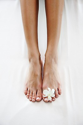 포토 JPG 해외기획촬영 꽃잎 꽃 2010년태국 발 실내 신체부위 뷰티 다리 전신마사지 의료성형뷰티 국내포토 식물 사람 내부 마사지 파일형식