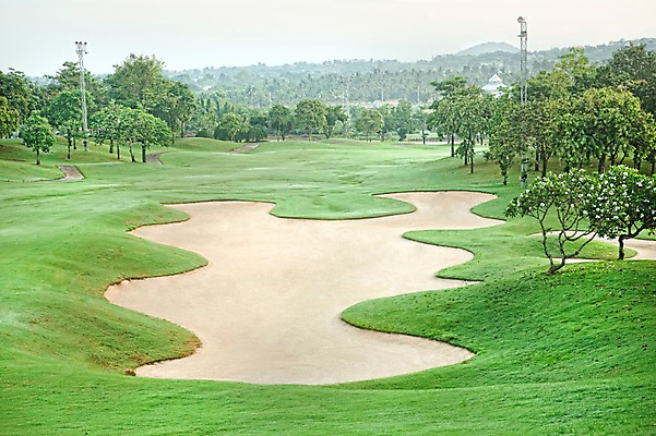 포토 JPG 주간 나무 식물 해외기획촬영 2010년태국 모래 스포츠 골프 스포츠시설 골프장 필드 레저 풍경 잔디 사람없음 야외 초록색 레포츠 벙커 국내포토 자연요소 컬러 구기 시설 파일형식