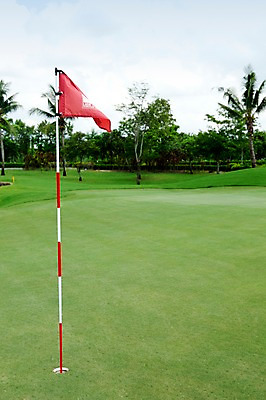 포토 JPG 주간 나무 식물 해외기획촬영 2010년태국 스포츠 골프 스포츠시설 골프장 태국 필드 레저 풍경 잔디 사람없음 야외 초록색 레포츠 깃발 깃대 홀컵 국내포토 자연요소 아시아 컬러 구기 시설 파일형식