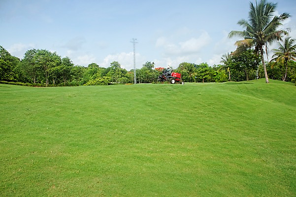 포토 JPG 주간 나무 식물 구름 해외기획촬영 2010년태국 스포츠 골프 스포츠시설 골프장 태국 필드 하늘 레저 관리 풍경 잔디 야외 초록색 레포츠 기계 장비 관리인 국내포토 자연요소 아시아 컬러 구기 시설 파일형식