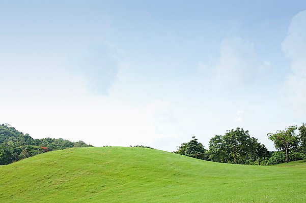 포토 JPG 주간 나무 식물 구름 해외기획촬영 2010년태국 스포츠 골프 스포츠시설 골프장 태국 필드 하늘 레저 풍경 잔디 사람없음 야외 초록색 레포츠 국내포토 자연요소 아시아 컬러 구기 시설 파일형식