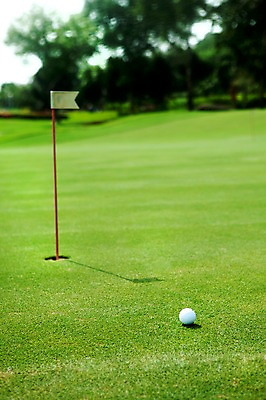 포토 JPG 주간 나무 식물 해외기획촬영 2010년태국 스포츠용품 스포츠 골프 공 스포츠시설 골프장 필드 레저 골프공 골프용품 골프클럽 잔디 사람없음 야외 초록색 레포츠 구기 골프채 깃발 깃대 홀컵 국내포토 자연요소 컬러 오브젝트 시설 파일형식