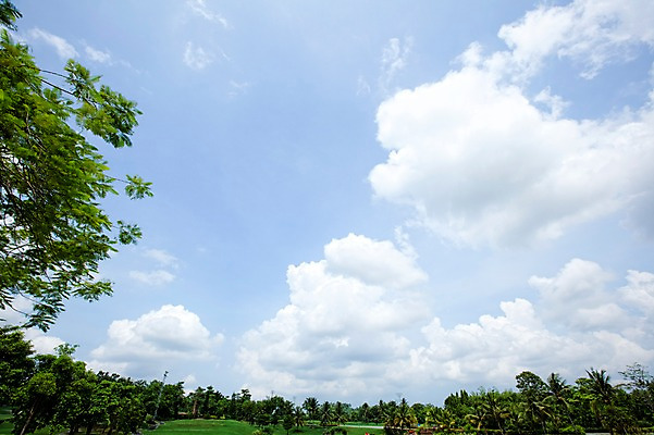 포토 JPG 주간 나무 식물 구름 해외기획촬영 2010년태국 스포츠 골프 스포츠시설 골프장 태국 필드 하늘 레저 풍경 잔디 사람없음 야외 초록색 레포츠 국내포토 자연요소 아시아 컬러 구기 시설 파일형식