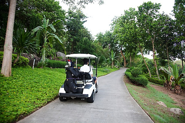 포토 JPG 주간 나무 식물 해외기획촬영 길 2010년태국 스포츠 골프 스포츠시설 골프장 태국 필드 레저 골프용품 골프클럽 풍경 잔디 야외 초록색 레포츠 카트 골프채 골프카트 국내포토 자연요소 아시아 스포츠용품 컬러 구기 시설 파일형식