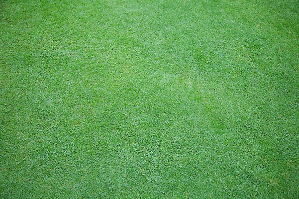 포토 JPG 주간 해외기획촬영 2010년태국 스포츠 백그라운드 골프 스포츠시설 골프장 태국 필드 레저 잔디 사람없음 야외 초록색 레포츠 국내포토 자연요소 식물 아시아 컬러 구기 시설 파일형식